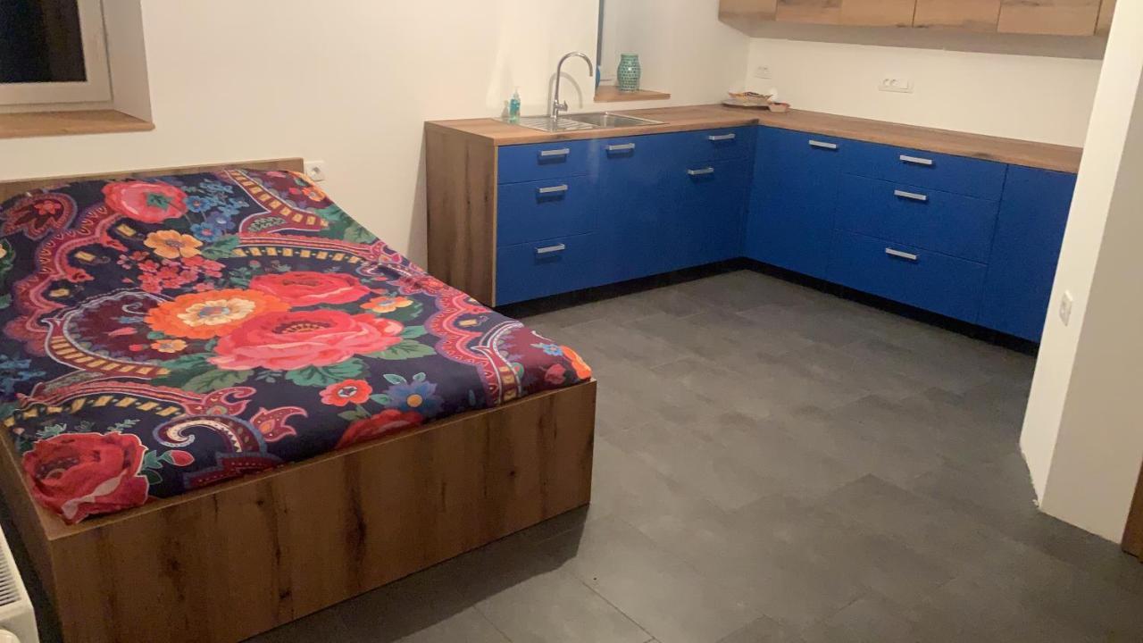 Amazing Apartment Stari Trg pri Lozu Exteriör bild